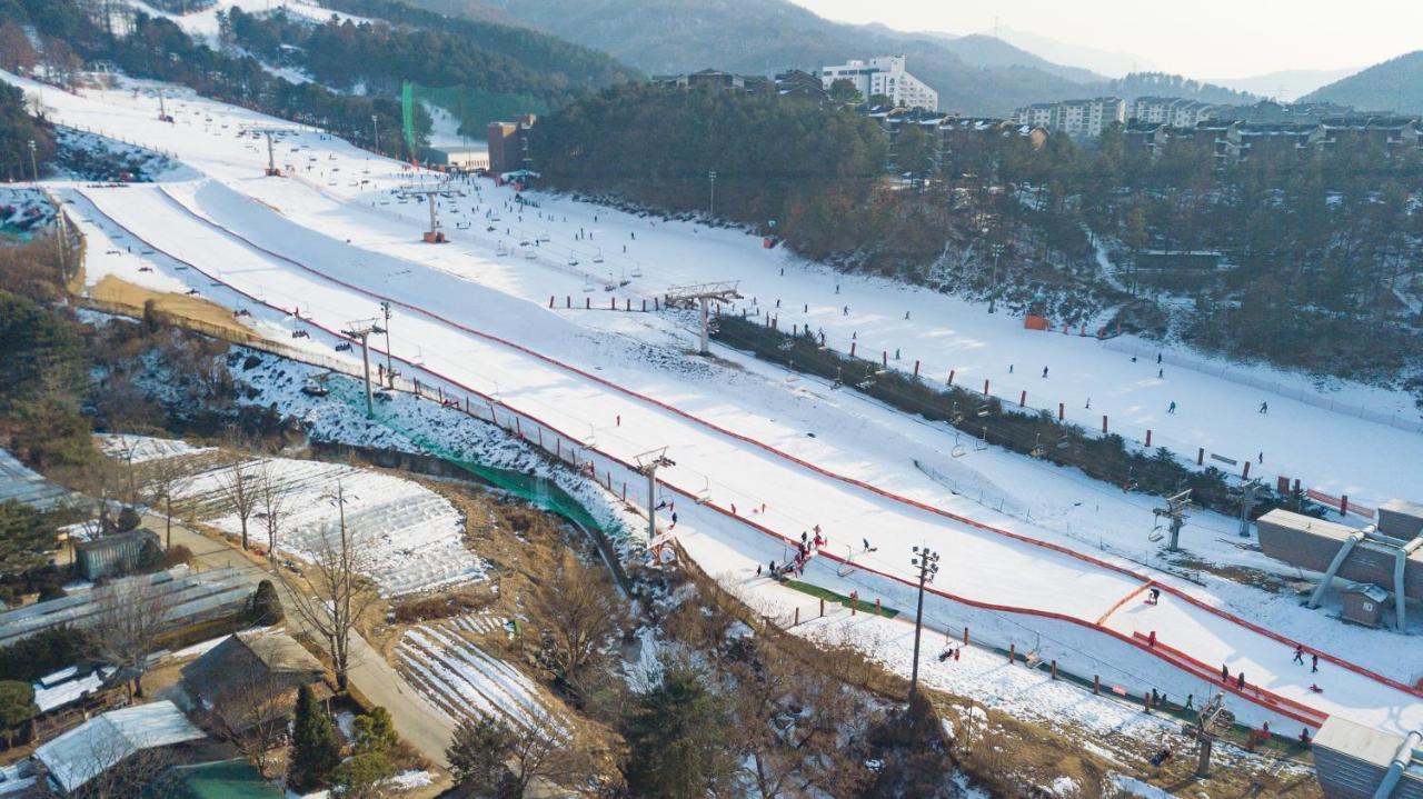 Bears Town Hotel Pocheon Buitenkant foto