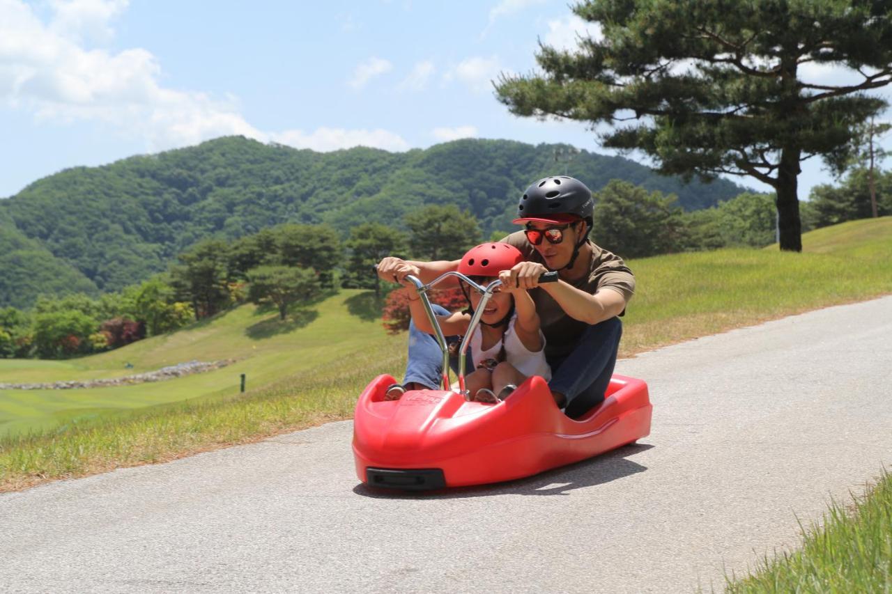Bears Town Hotel Pocheon Buitenkant foto