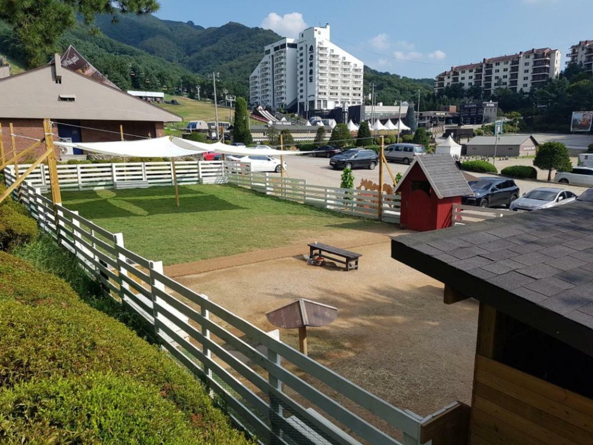 Bears Town Hotel Pocheon Buitenkant foto
