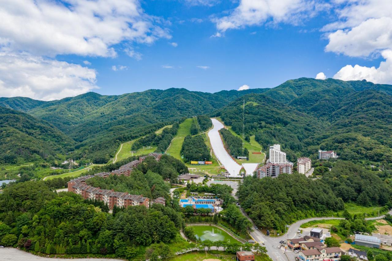 Bears Town Hotel Pocheon Buitenkant foto